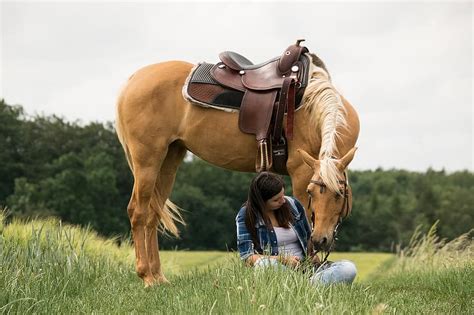 Arabs Horse Human Palomino Trust Love Western Meadow Nature