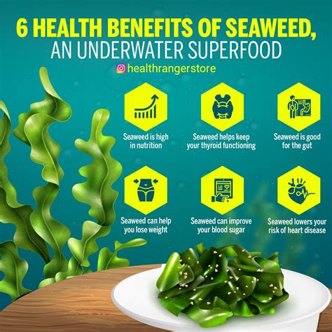 6 Health Benefits Of Seaweed Health Nutrition Health Education
