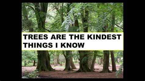 Trees Are The Kindest Things I Knowsave Treeshow Well You Know Your