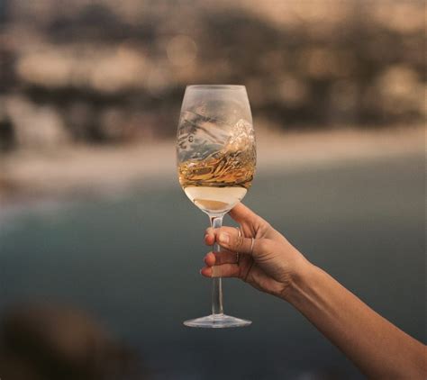 Which White Wines Are Dry The Ultimate Guide To White Wine