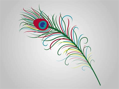 Free Peacock Feather Vector Download Free Peacock Feather Vector Png Images Free ClipArts On