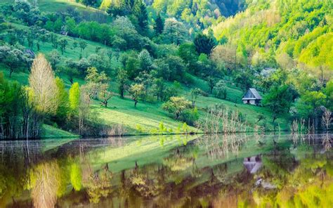 Mountain Slope Trees House Lake Water Reflection Spring Scenery