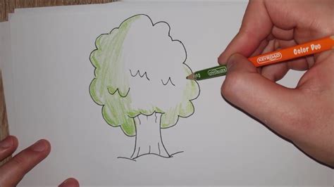 Kako Nacrtati I Obojiti Drvohow To Draw And Color An Easy Cartoon Tree