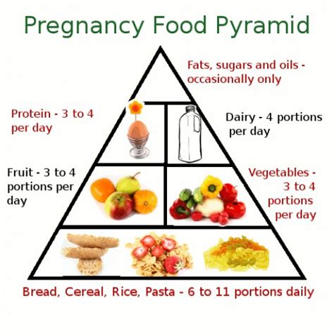 Pregnancy Food Guide Pyramid