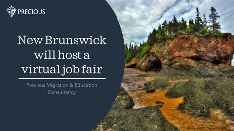 New Brunswick will host a virtual job fair - Precious Education and ...