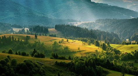 Colorful Summer Landscape In The Carpathian Mountains Ukraine