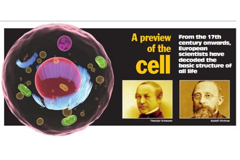 A Preview Of The Cell The Statesman