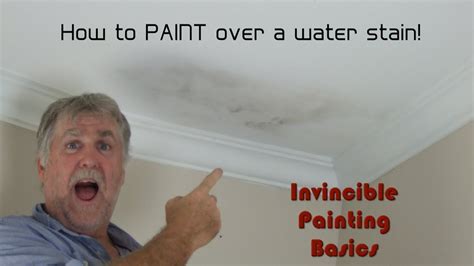 Paint To Cover Water Stains On Ceiling Niceguyfinisheslast