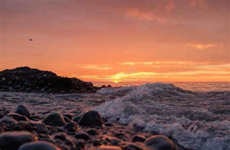 Sunset On The Rocky Beach Stock Image Image Of Rocky 110692671