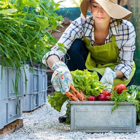 7 Reasons To Grow Your Own Organic Fruit And Vegetable Garden Health And Wellness