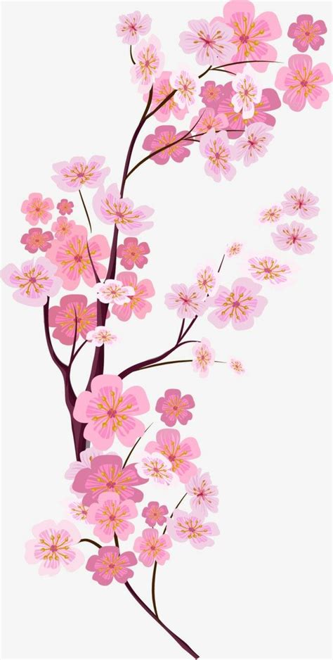 Lihat ide lainnya tentang bunga sakura, bunga, sakura. Gambar Bunga Sakura Lukisan - kulo Art