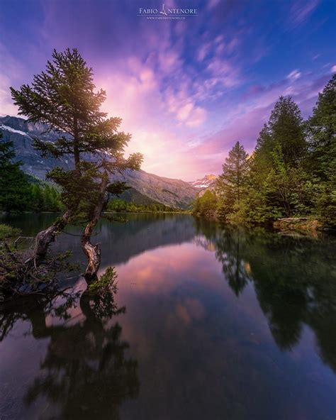 The Lake And The Tree By Fabio Antenore Sky Landscape Lake
