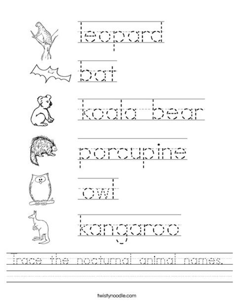 Trace The Nocturnal Animal Names Worksheet Twisty Noodle