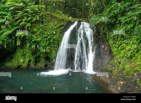 Wasserfall Cascade Aux Ecrevisses Im Parque Nacional Guadalupe Basse