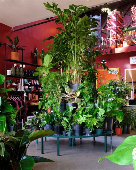 15 Best Plant Shops In Brooklyn Secret Nyc