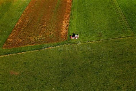 Pasture Mowing With Blue Tractor Stock Photo Image Of Farmer