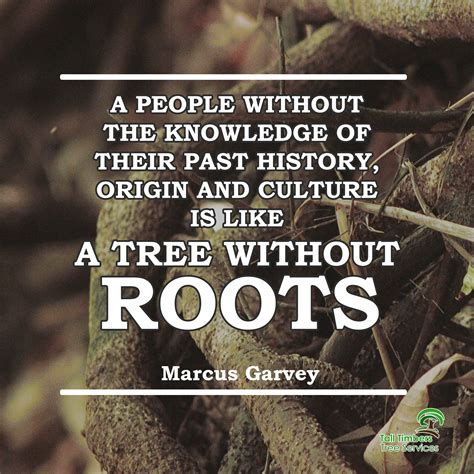 a people without the knowledge of their past history origin and culture is like a tree without