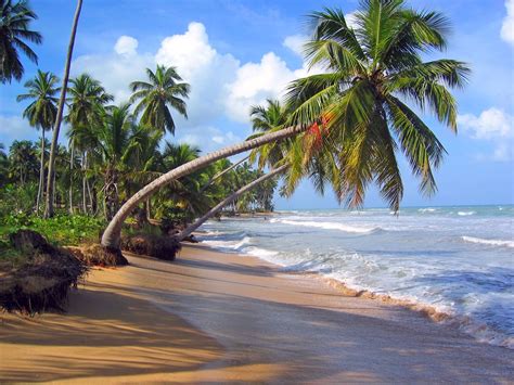 10 Fotos De Playas Tropicales Para Tus Próximas Vacaciones Banco