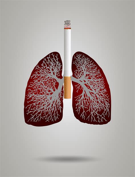 Smokers Lungs How To Get Clear Lungs
