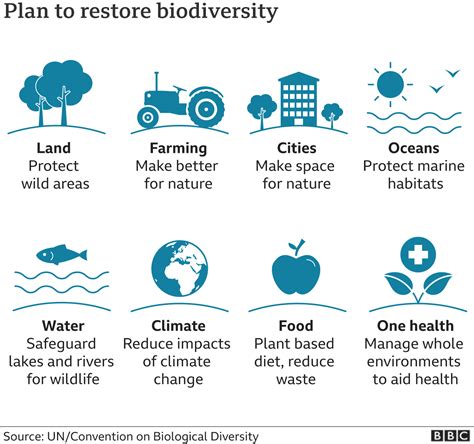 Biodiversity Why The Nature Crisis Matters In Five Graphics Bbc News