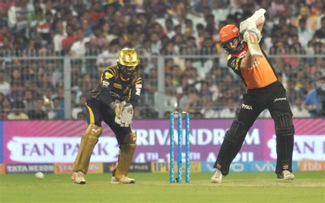 Kane was active in sports since a young age and played all sorts of sports including basketball, rugby, volleyball, soccer. Twitter Reactions: Sunrisers Hyderabad tame KKR at Eden ...