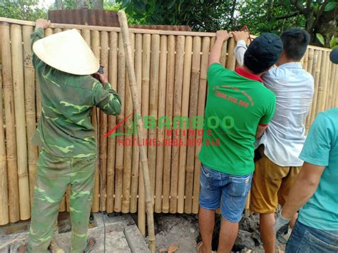 Check spelling or type a new query. THI CÔNG HÀNG RÀO TRE TẠI CỦ CHI TPHCM