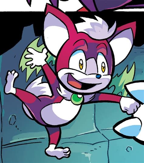 Chip Archie Sonic News Network The Sonic Wiki