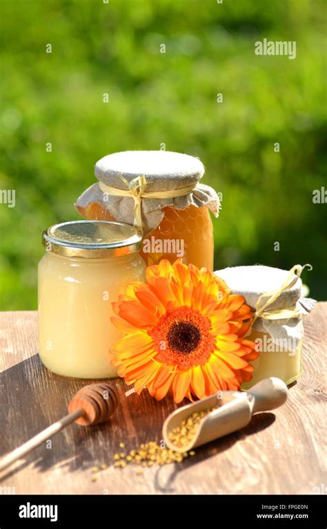 Gläser Voll Mit Leckeren Honig Waben Und Bee Pollen Im Bienenhaus Stockfotografie Alamy