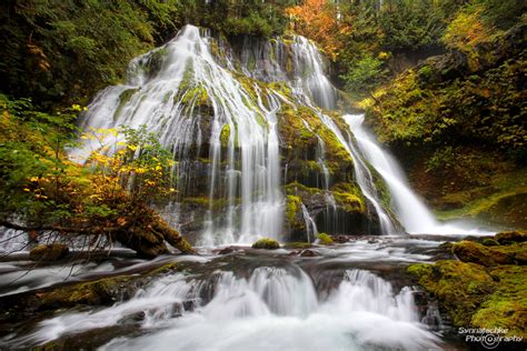 Panther Creek Falls Best Of Usa Personal Favorites Synnatschke