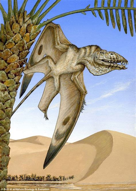 New Species Of Pterodactyl With Vampire Like Fangs Roamed The Skies