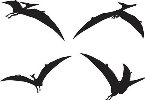 Pterodactyl Illustrations Royalty Free Vector Graphics And Clip Art Istock