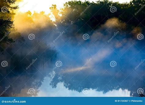 Morning Mist Over River Stock Image Image Of Reeds Background 81724367