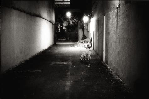Dark Alley Creepy Roadway Back Dog Hd Wallpaper Peakpx