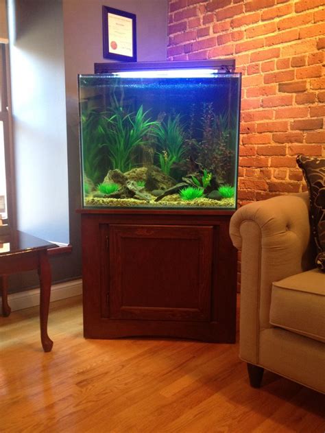 90 Gallon Freshwater Tropical Aquarium Fish Tank Design Aquarium