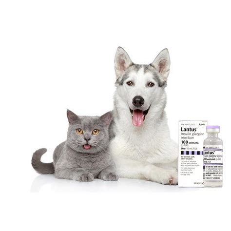 In addition to availability, ease of use, and expense, a major factor inﬂuencing insulin choice for diabetic cats is. Insulin For Cats Lantus | DiabetesTalk.Net
