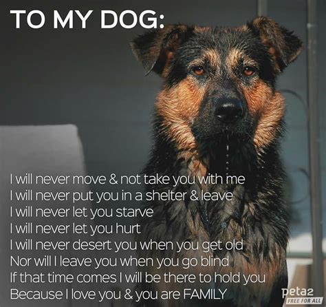 Give Loyalty Dog Quotes Funny Dogs Dog Quotes