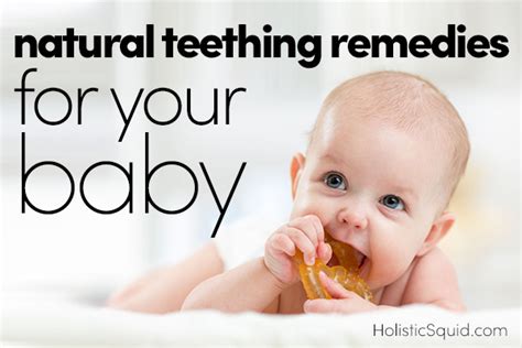 Natural Teething Remedies Holistic Squid