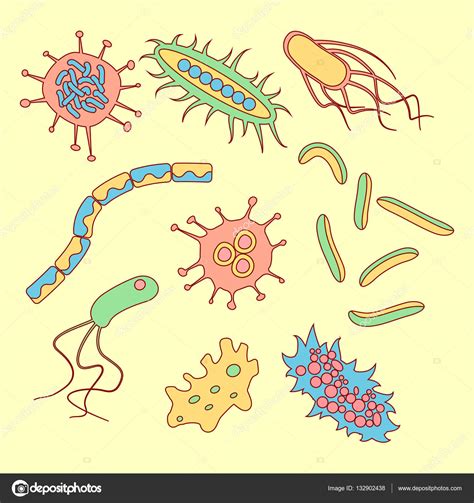 Disegno di legge sulla sicurezza globale: Tipos de bacterias diferentes — Archivo Imágenes ...