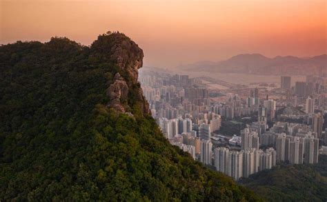 Lion Rock Hike In Hong Kong The Hikers Guide