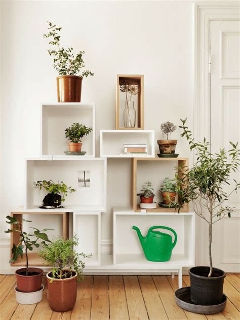 99 Great Ideas To Display Houseplants Indoor Plants