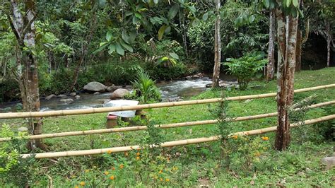 Menerokai keindahan alam di hutan lipur sungai gabai dan piknik bersama keluarga. Mohd Faiz bin Abdul Manan: Janda Baik
