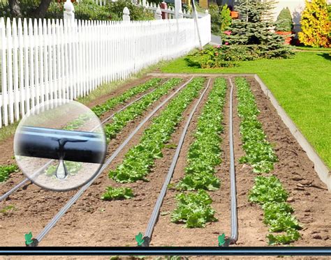 How To Winterize Your Drip Irrigation System Hubpages