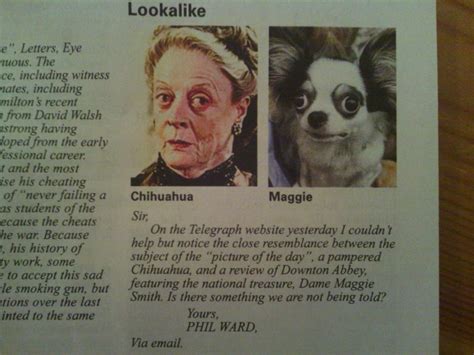 This Site Has Been Archived Private Eye Lookalikes 4 Output