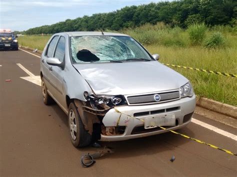 G1 Ciclista morre após ser atingido por carro na BR 060 em Rio Verde