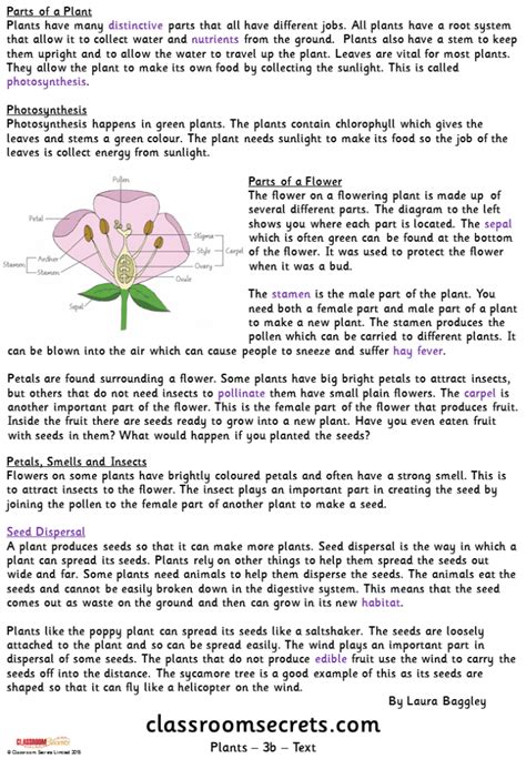 Plants Classroom Secrets