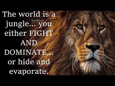 Strong Like A Lion Quotes Be Inspired By These Powerful Sayings