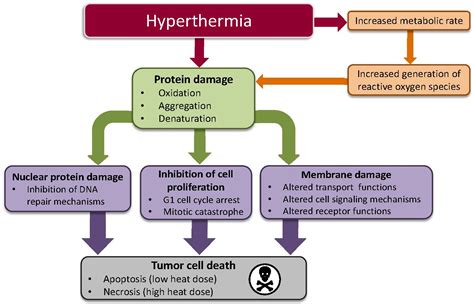 Hyperthermia Cancer Treatment And Beyond Intechopen