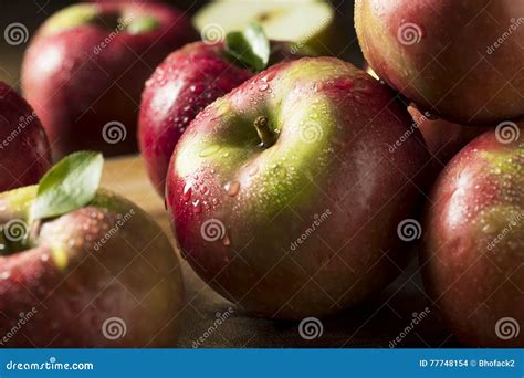 Raw Organic Red Mcintosh Apples Stock Photo Image Of Natural Health