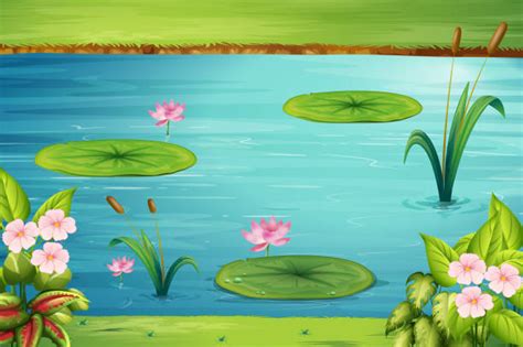 Best Lily Pad Illustrations Royalty Free Vector Graphics And Clip Art