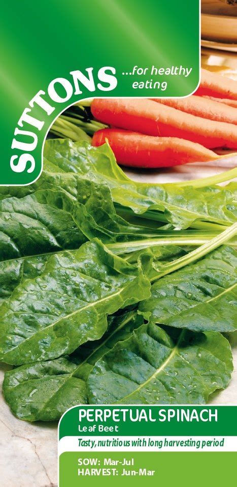 Suttons Perpetual Spinach Leaf Beet Seeds Seeds And Bulbs Mole Avon